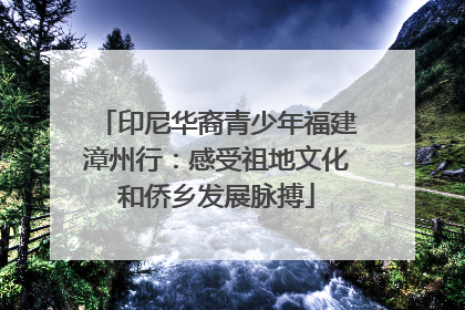 印尼华裔青少年福建漳州行：感受祖地文化和侨乡发展脉搏