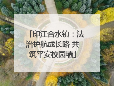 印江合水镇：法治护航成长路 共筑平安校园墙