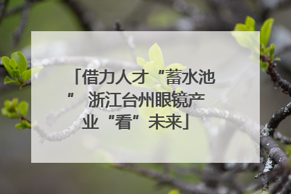 借力人才“蓄水池” 浙江台州眼镜产业“看”未来