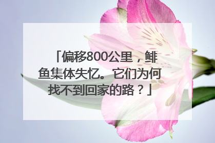 偏移800公里，鲱鱼集体失忆。它们为何找不到回家的路？