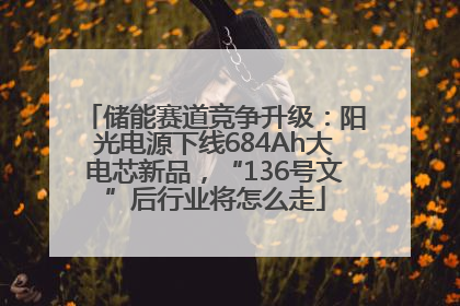 储能赛道竞争升级：阳光电源下线684Ah大电芯新品，“136号文”后行业将怎么走