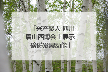 兴产聚人 四川眉山西博会上展示磅礴发展动能
