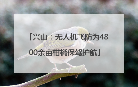 兴山：无人机飞防为4800余亩柑橘保驾护航