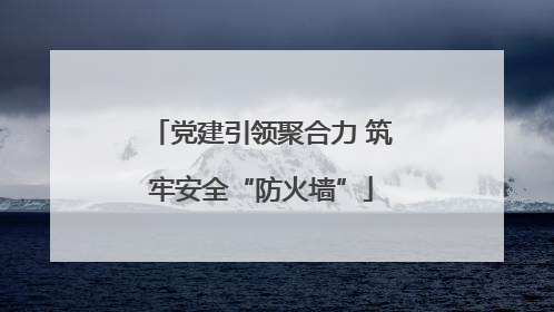 党建引领聚合力 筑牢安全“防火墙”