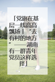 党旗在基层一线高高飘扬丨“去有村的地方”——湖南有一群青年党员这样选择
