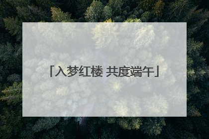 入梦红楼 共度端午
