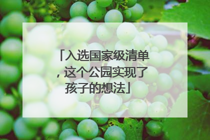 入选国家级清单，这个公园实现了孩子的想法