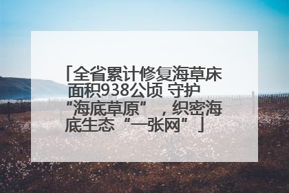 全省累计修复海草床面积938公顷 守护“海底草原”，织密海底生态“一张网”