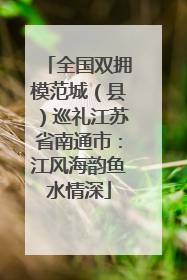 全国双拥模范城（县）巡礼江苏省南通市：江风海韵鱼水情深