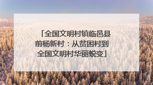 全国文明村镇临邑县前杨新村：从贫困村到全国文明村华丽蜕变