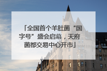 全国首个羊肚菌“国字号”盛会启幕，天府菌都交易中心开市