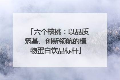 六个核桃：以品质筑基、创新领航的植物蛋白饮品标杆