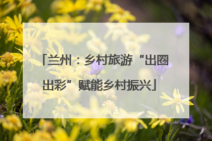 兰州：乡村旅游“出圈出彩”赋能乡村振兴