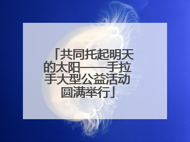 共同托起明天的太阳——手拉手大型公益活动圆满举行