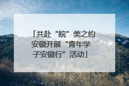 共赴“皖”美之约 安徽开展“青年学子安徽行”活动