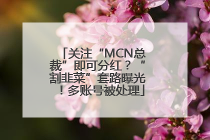 关注“MCN总裁”即可分红？“割韭菜”套路曝光！多账号被处理