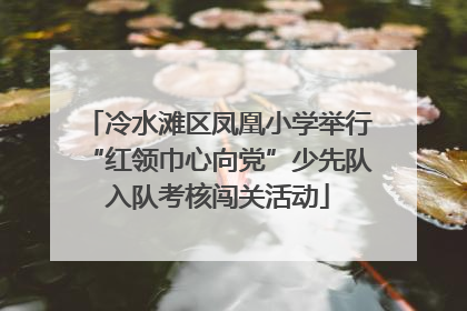 冷水滩区凤凰小学举行“红领巾心向党”少先队入队考核闯关活动