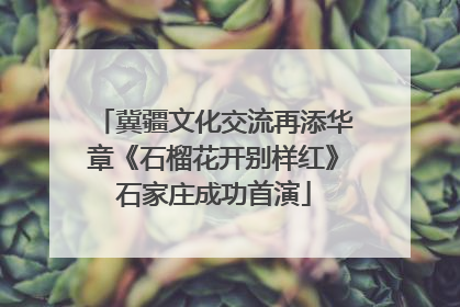 冀疆文化交流再添华章《石榴花开别样红》石家庄成功首演