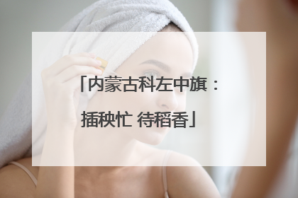 内蒙古科左中旗：插秧忙 待稻香