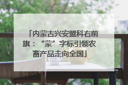 内蒙古兴安盟科右前旗：“蒙”字标引领农畜产品走向全国