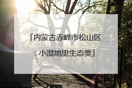 内蒙古赤峰市松山区：小湿地里生态美