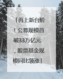 再上新台阶！公募规模首破33万亿元，股票基金规模同比领涨