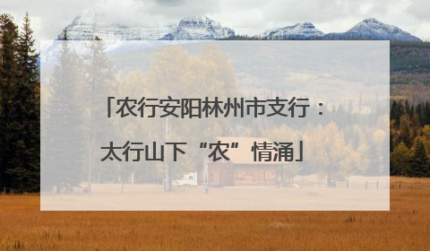 农行安阳林州市支行：太行山下“农”情涌