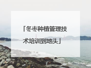 冬枣种植管理技术培训到地头