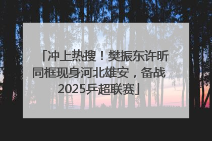 冲上热搜！樊振东许昕同框现身河北雄安，备战2025乒超联赛