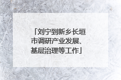 刘宁到新乡长垣市调研产业发展、基层治理等工作