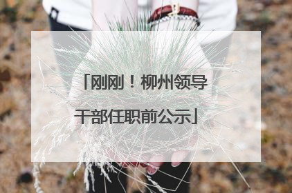 刚刚！柳州领导干部任职前公示