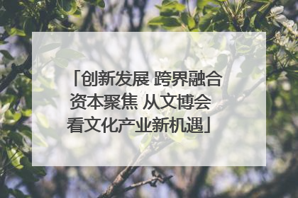 创新发展 跨界融合 资本聚焦 从文博会看文化产业新机遇
