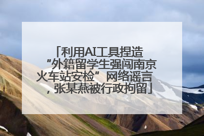 利用AI工具捏造 “外籍留学生强闯南京火车站安检”网络谣言，张某燕被行政拘留
