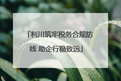 利川筑牢税务合规防线 助企行稳致远