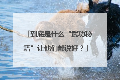 到底是什么“武功秘籍”让他们都说好？
