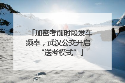 加密考前时段发车频率，武汉公交开启“送考模式”