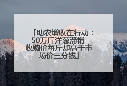 助农增收在行动：50万斤洋葱滞销 收购价每斤却高于市场价三分钱