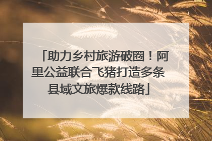 助力乡村旅游破圈！阿里公益联合飞猪打造多条县域文旅爆款线路