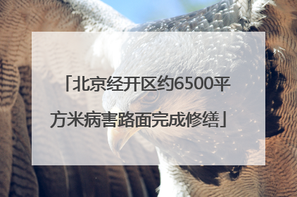 北京经开区约6500平方米病害路面完成修缮