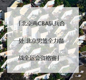 北京两CBA队兵合一处 北京男篮全力备战全运会资格赛