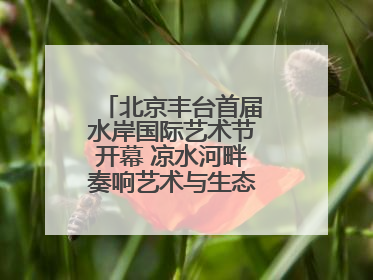 北京丰台首届水岸国际艺术节开幕 凉水河畔奏响艺术与生态 “交响曲”