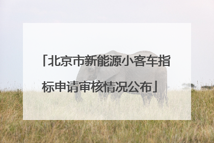 北京市新能源小客车指标申请审核情况公布