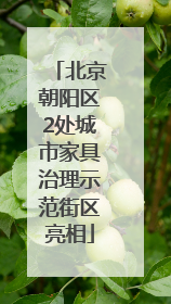 北京朝阳区2处城市家具治理示范街区亮相