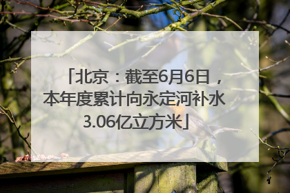 北京：截至6月6日，本年度累计向永定河补水3.06亿立方米