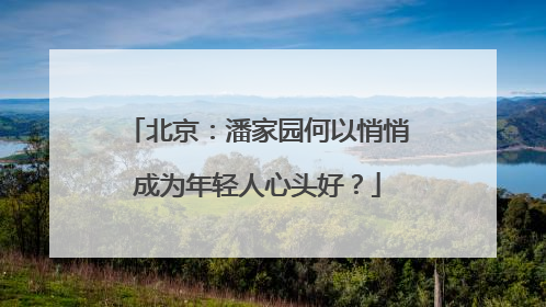 北京：潘家园何以悄悄成为年轻人心头好？