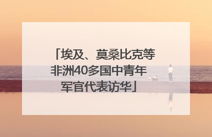 埃及、莫桑比克等非洲40多国中青年军官代表访华