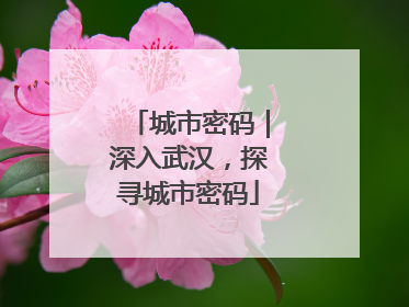 城市密码｜深入武汉，探寻城市密码