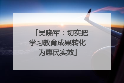 吴晓军：切实把学习教育成果转化为惠民实效