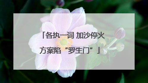 各执一词 加沙停火方案陷“罗生门”