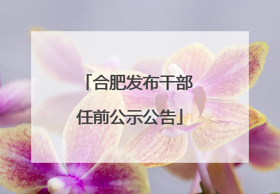 合肥发布干部任前公示公告